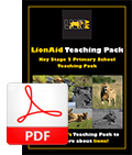 Download Free PDF Teachers Pack for African Lions