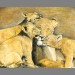 "Mother's Pride" by Simon Stevenson "Mother's Pride" by Simon Stevenson
