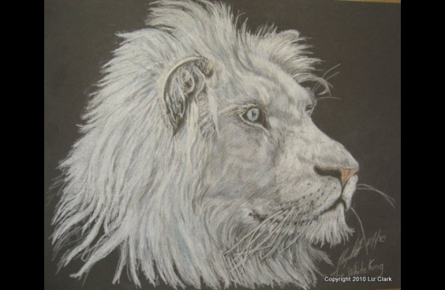 Image 9: "The White King" by Liz Clark