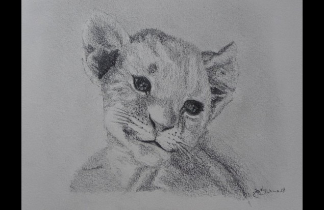 Image 13: "Lion Cub" by Christina Barnard