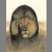 "The Call of Delilah" by Simon Stevenson "The Call of Delilah" by Simon Stevenson