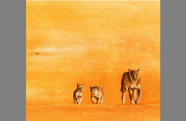"Alpha" by Simon Stevenson
