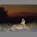 Lioness Stretching by Chris Harvey