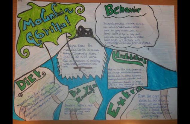 Gorilla Pack 8 Gorilla Pack 8