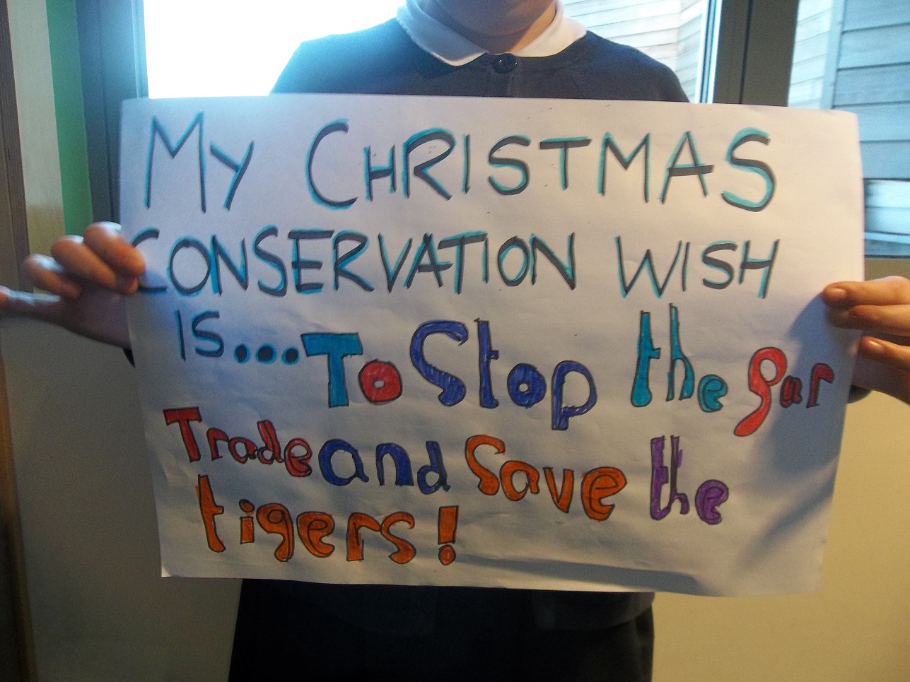 Fur Trade & Tigers