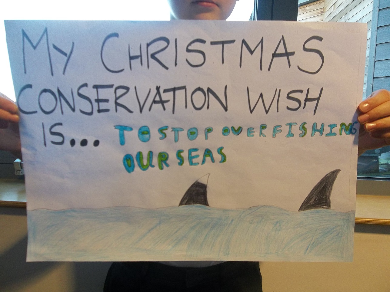 Overfishing Overfishing