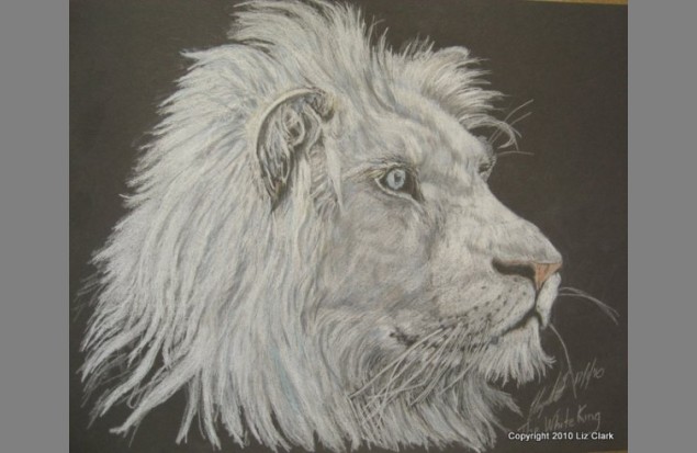 "The White King" by Liz Clark