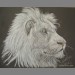 "The White King" by Liz Clark "The White King" by Liz Clark