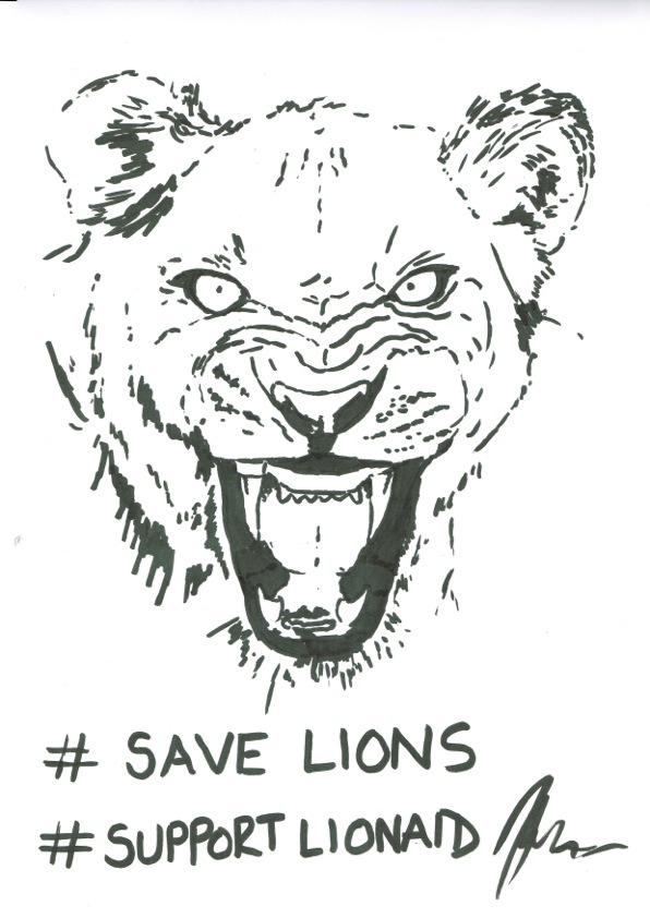 Save Lions Support LionAid by Matthew Payne