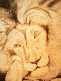 Louisa Pearson's lion drawing 