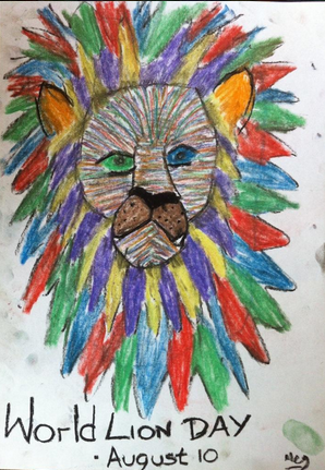 Lion drawing from Meg Richards