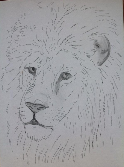 A drawing by Conor McKill, aged 11