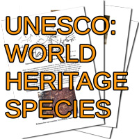 LionAid: UNESCO 2010