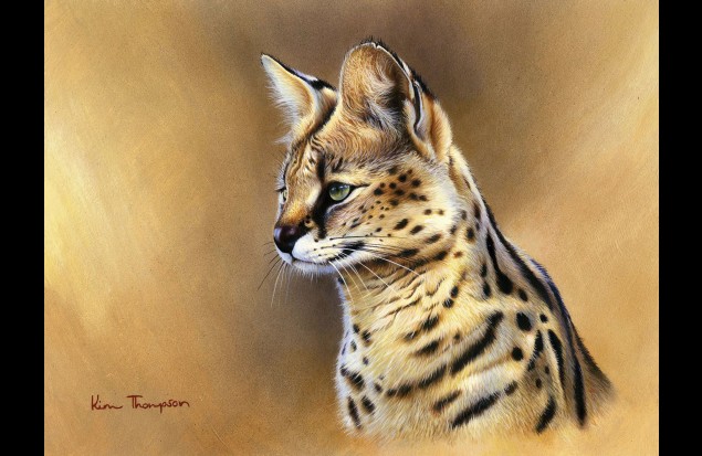 "Serval"