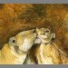 "BathTime" by Simon Stevenson