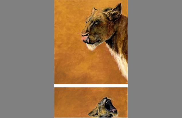 "In Anticipation" and "In Expectation" by Simon Stevenson