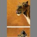 "In Anticipation" and "In Expectation" by Simon Stevenson "In Anticipation" and "In Expectation" by Simon Stevenson