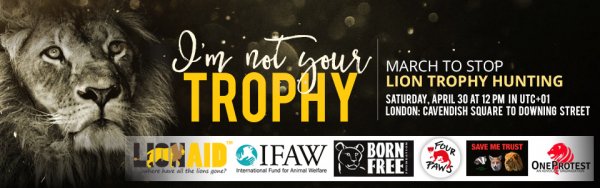 LionAid - March to Stop Lion Trophy Hunting - News