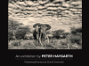 Don't miss this exhibition by Peter Haygarth! Don't miss this exhibition by Peter Haygarth!