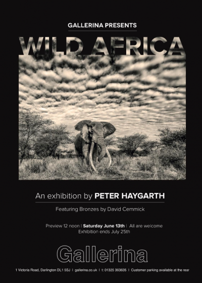 Peter Haygarth exhibition