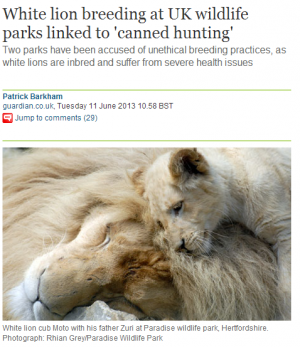 White lions in zoos are not cute and do nothing for wild lion conservation