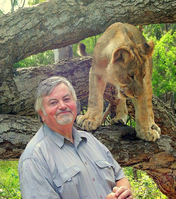 roger-cook-with-lioness-1393842603-3603548